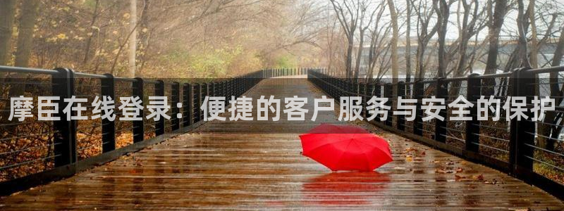 威九国际平台招商：摩臣在线登录：便捷的客户服务与安全的保护