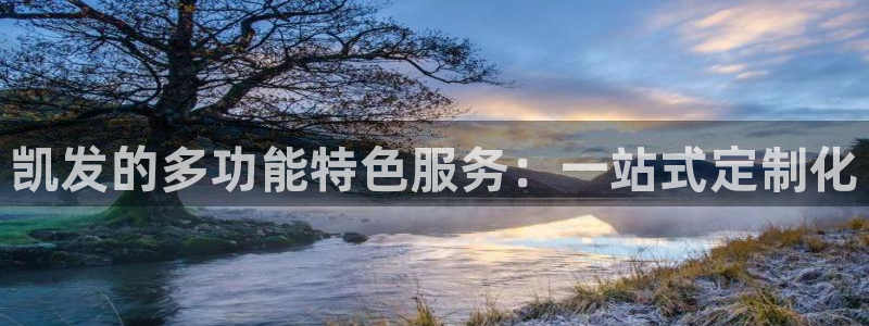 威九国际3登陆：凯发的多功能特色服务：一站式定制化