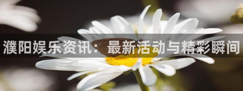 威九国际官网注册：濮阳娱乐资讯：最新活动与精彩瞬间