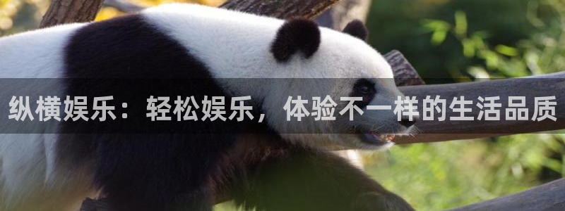 威九国际官网注册：纵横娱乐：轻松娱乐，体验不一样的生活品质