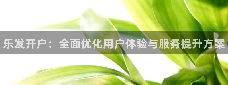 威九国际体育注册：乐发开户：全面优化用户体验与服务提升方案