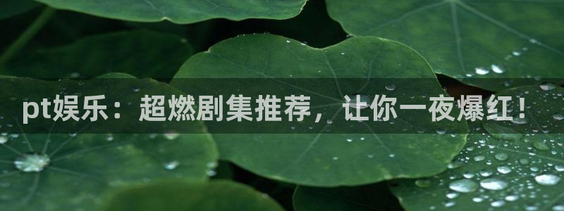 威九国际登录：pt娱乐：超燃剧集推荐，让你一夜爆红！