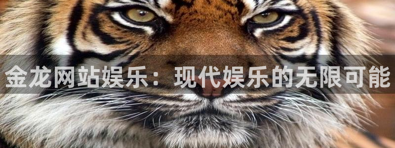 威九国际2平台：金龙网站娱乐：现代娱乐的无限可能