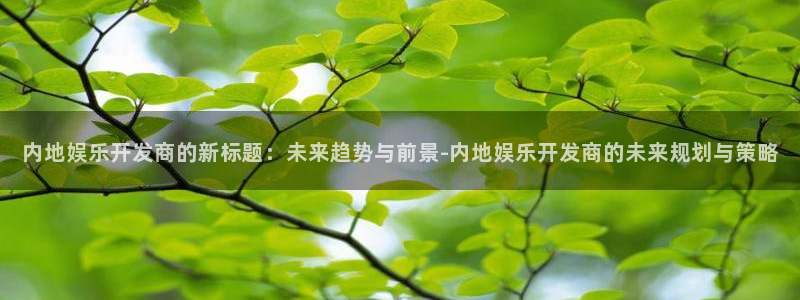 威九国际平台招商：内地娱乐开发商的新标题：未来趋势与前景-内地娱乐开发商的未来规