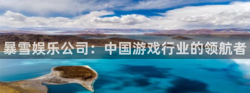 威九国际平台：暴雪娱乐公司：中国游戏行业的领航者