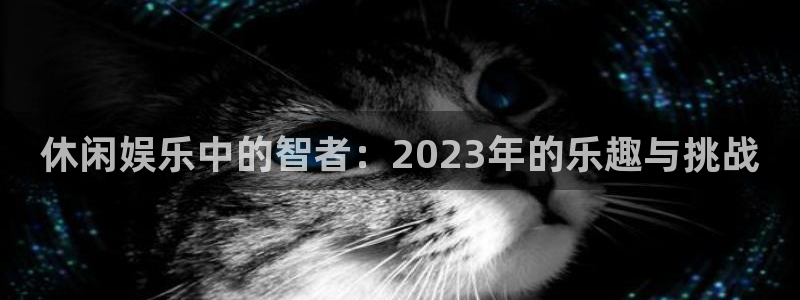 威九国际5注册：休闲娱乐中的智者：2023年的乐趣与挑战