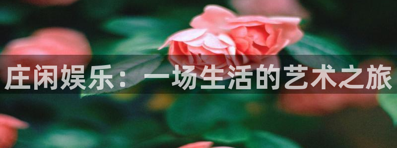 威九国际3注册：庄闲娱乐：一场生活的艺术之旅