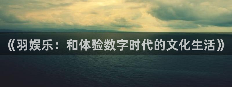 威九国际平台招商：《羽娱乐：和体验数字时代的文化生活》