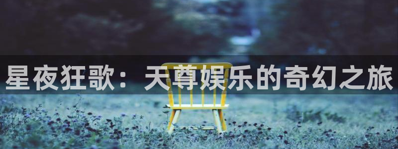 威九国际平台主管：星夜狂歌：天尊娱乐的奇幻之旅