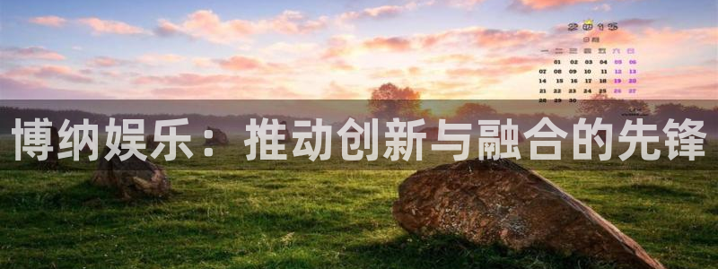 威九国际4平台注册：博纳娱乐：推动创新与融合的先锋