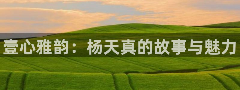 威九国际主管