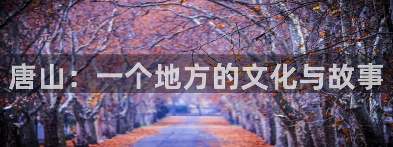 威九国际：唐山：一个地方的文化与故事