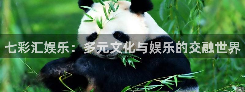 威九国际体育官网注册：七彩汇娱乐：多元文化与娱乐的交融世界