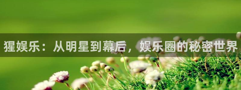 威九国际4平台：猩娱乐：从明星到幕后，娱乐圈的秘密世界