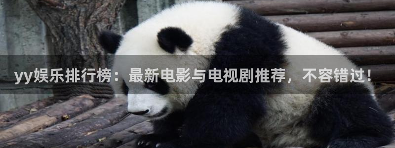 威九国际体育平台开号链接：yy娱乐排行榜：最新电影与电视剧推荐，不容错过！