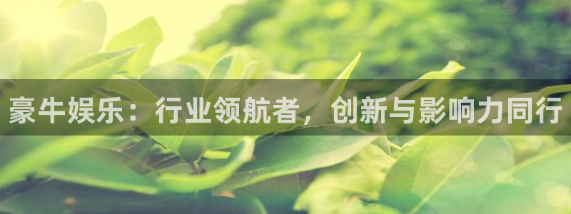 德国威九国际集团：豪牛娱乐：行业领航者，创新与影响力同行