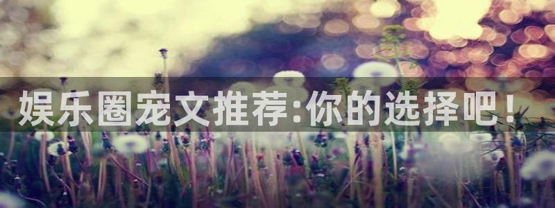 威九国际平台注册：娱乐圈宠文推荐:你的选择吧！