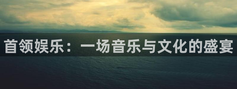 威九国际2体育登录入口：首领娱乐：一场音乐与文化的盛宴