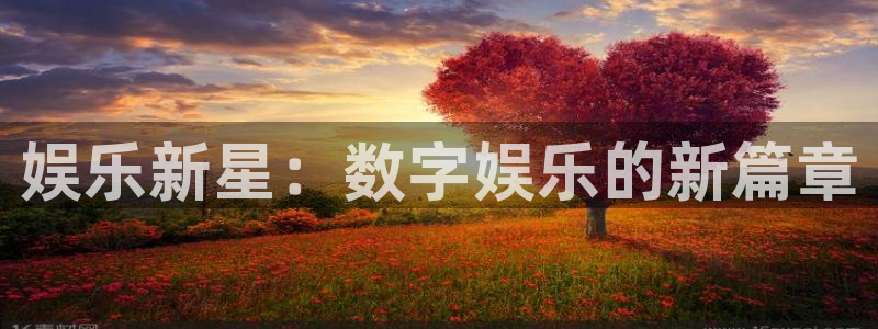 威九国际登录：娱乐新星：数字娱乐的新篇章
