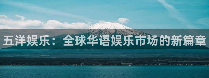 上海威九国际汽车电子有限公司