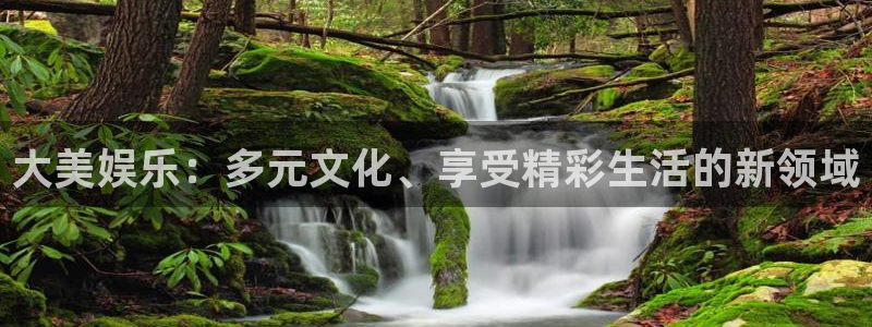 威九国际体育官网
