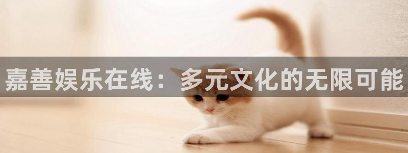 威九国际体育热门赛事有哪些：嘉善娱乐在线：多元文化的无限可能